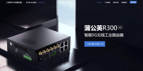 中小企业SD-WAN组网方案怎么选?贝锐蒲公英对比爱快有这些优势